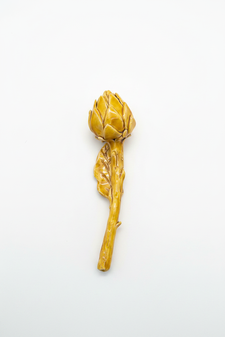 Pumo giallo - sfondo bianco