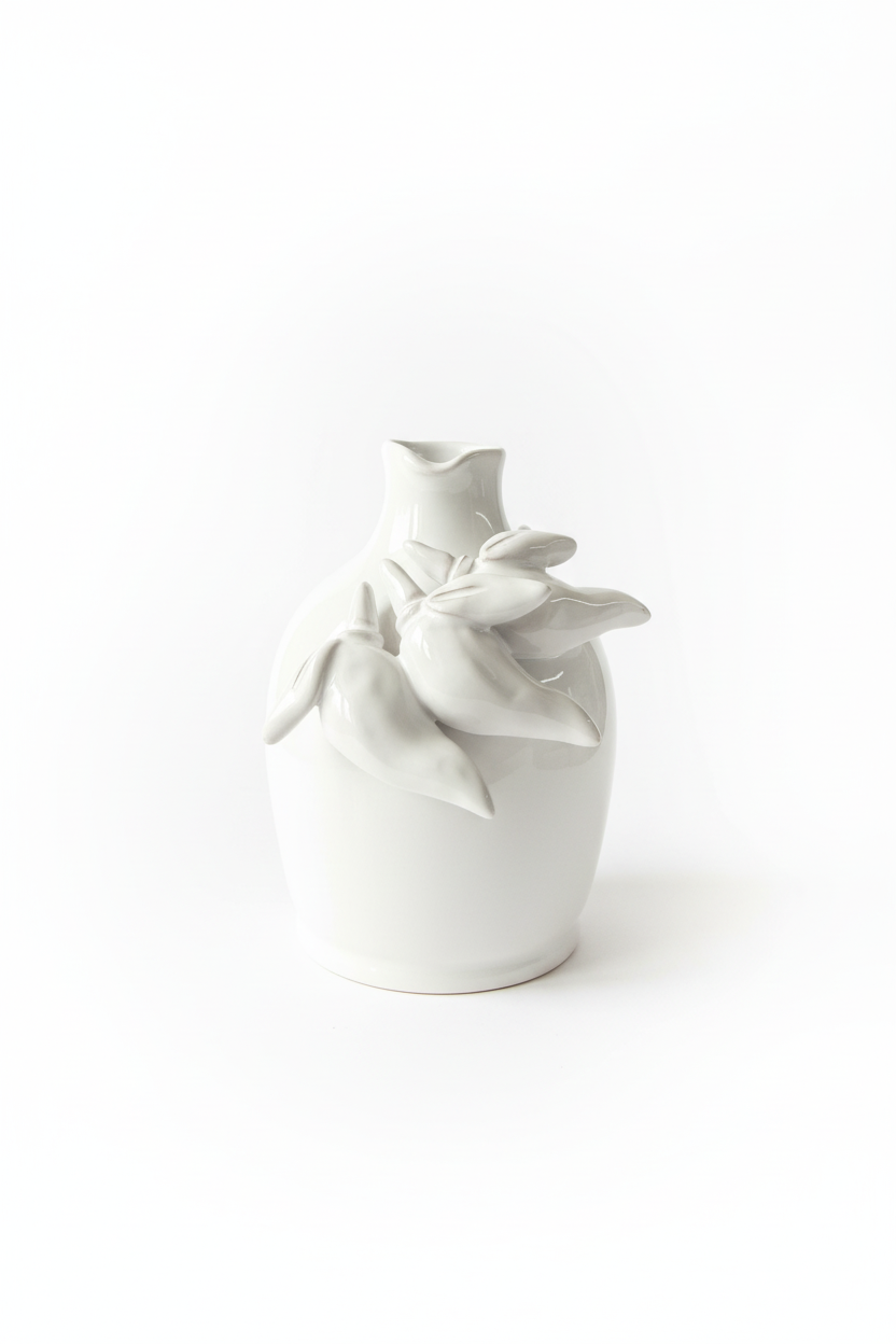 Vaso ceramica sfondo bianco