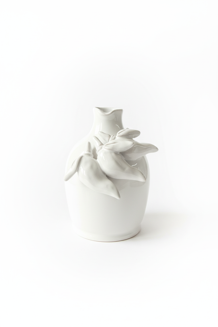 Vaso ceramica sfondo bianco