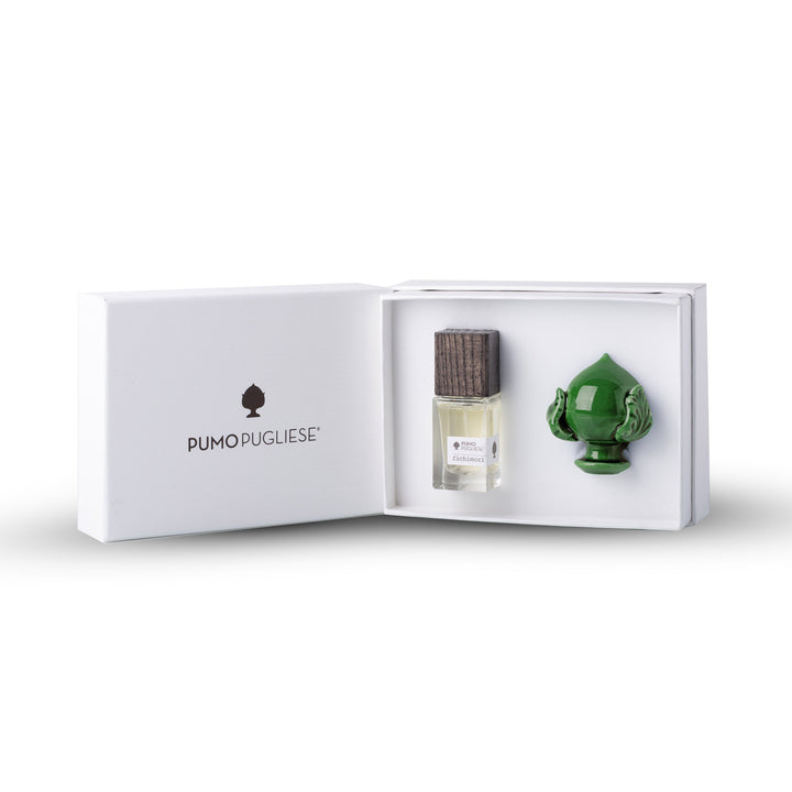 Fichimori Cofanetto con Pumo