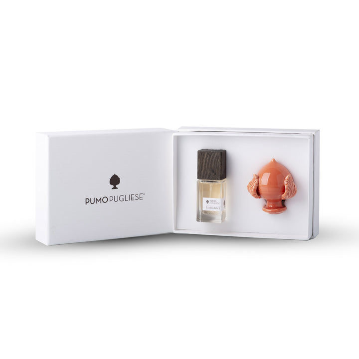 Fichimori Cofanetto con Pumo